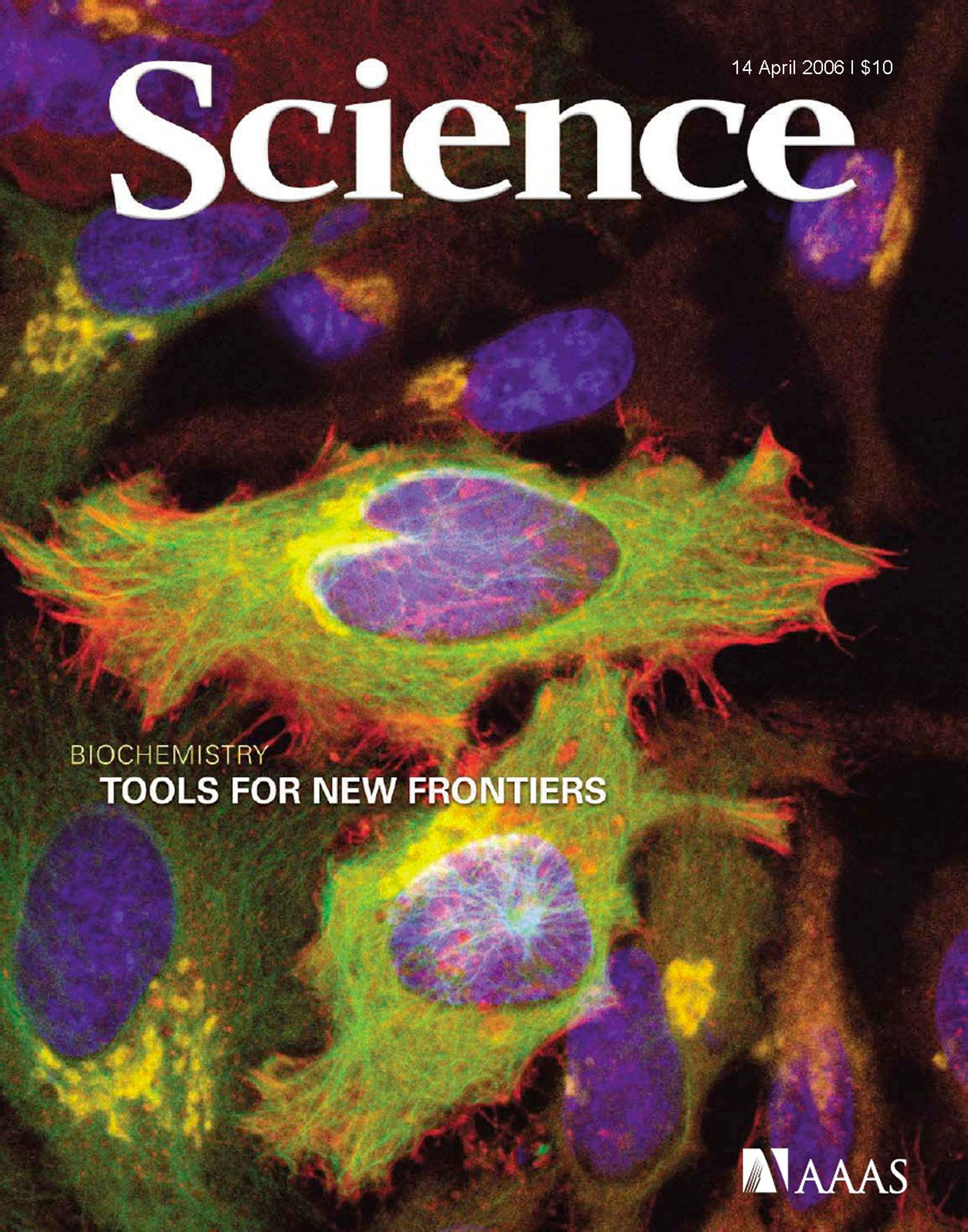 Science Cover April 14, 2006